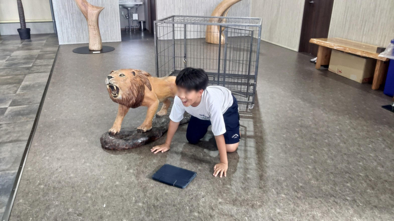 カー展示場で芸術に触れる